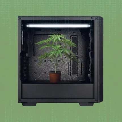 Grow Box 3