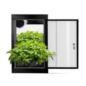 Grow Boxes
