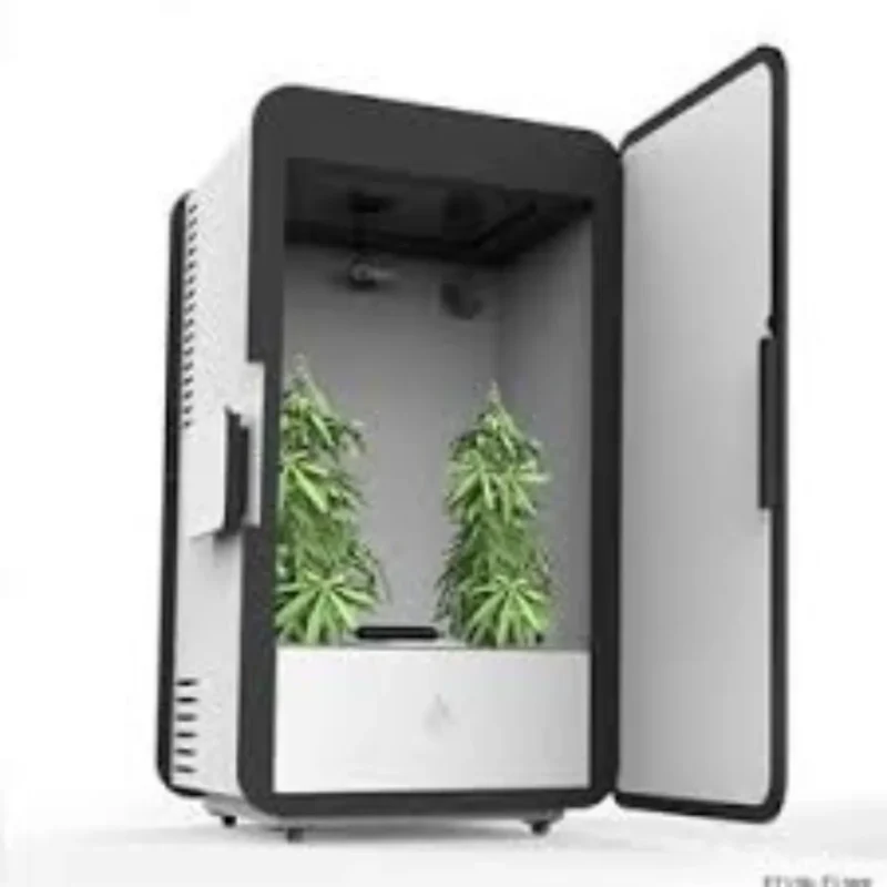 Grow Boxes 1